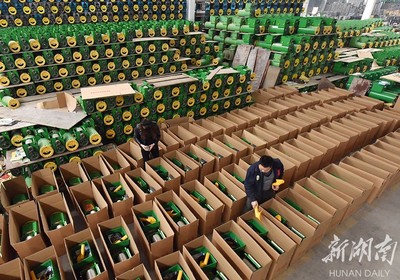 備戰(zhàn)雙十一，薯類產(chǎn)品銷售攻略