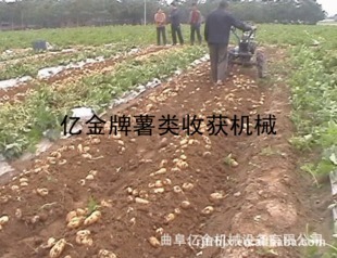 高產快速薯類收獲機專業制造與銷售