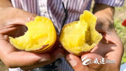 1元1斤！線上線下銷售火！威遠秋季美味火爆上市！